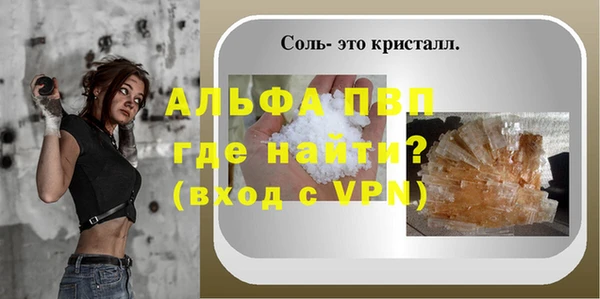 крисы Абаза
