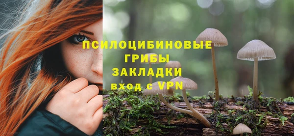 apvp Абдулино