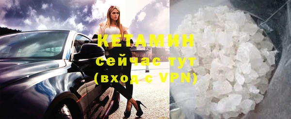 крисы Абаза