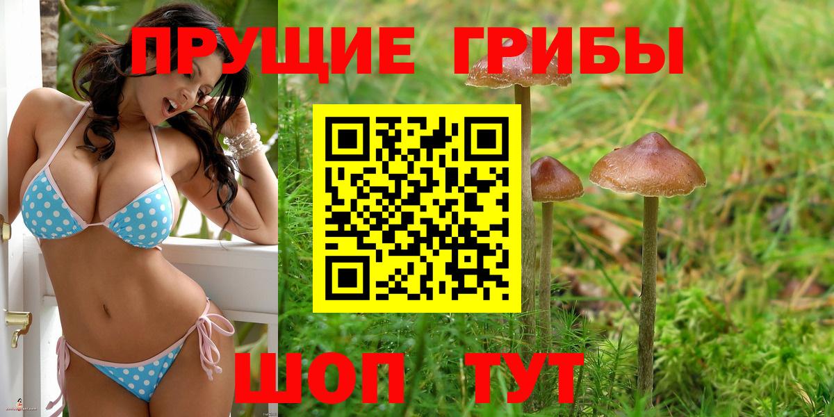 Галлюциногенные грибы прущие грибы Истра